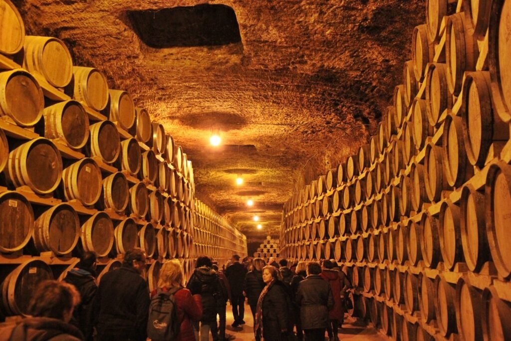 escapadas de aventura cerca de madrid