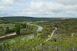 flora y fauna Peñarroya